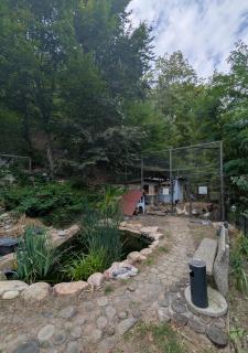 Casa din padure - Orşova - 7