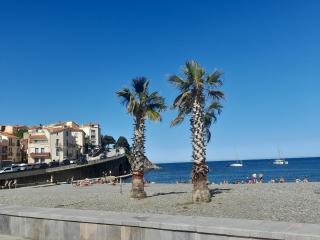 Junior 14600 - Banyuls-sur-Mer - 0