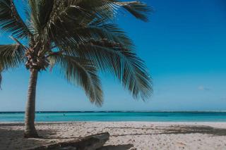 Luxurious villa in Noord, Aruba - Palm-Eagle Beach - 4