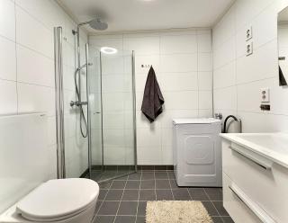 Studio apartment - Tomasjorda - 4