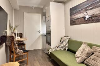 Studio apartment - Tomasjorda - 6