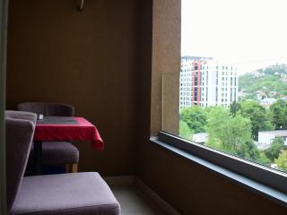 Apartment Mersi Sarajevo - Sarajevo - 4