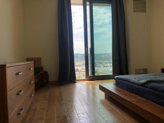 Exquisite BW Residences 210sqm condo - Sajmište - 7