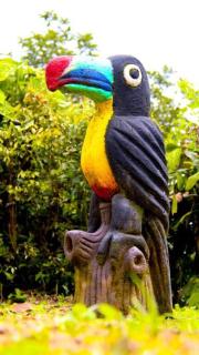Morada La Gloria - Barbacoas - 7