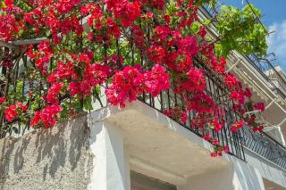Blue Maraci 2 - Sea view, Kitchen, Beach Access - Himarë - 4