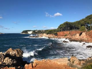 Le SAYULA - Bandol - 0