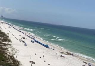 Majestic 1802 - T2 - Panama City Beach - 1