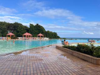 Frangipanier mer et piscine - 1