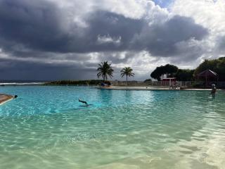 Frangipanier mer et piscine - Saint-François - 9