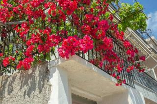 Blue Maraçi 3- Cozy BEACH Apt - Himarë - 6