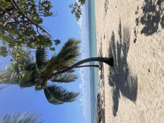 Ti kaz a Krol et Harry - 8