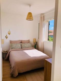 Lou Pitchou, le T1 - 5