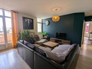 Bel appartement en rue piétonne - Roanne - 9
