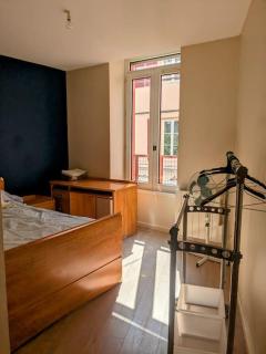 Bel appartement en rue piétonne - Roanne - 5