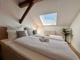 YourFavoriteBed Designerapartments Zwickau Zentrum - Zwickau - 5