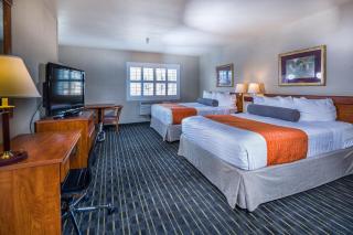 Hotel Aura SFO Airport FREE SHUTTLE - San Bruno - 4