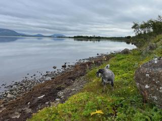 Near Golden Circle-10 sleeps HG-17268 - Selfoss - 9