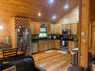 The cozy Lazy Laurel with year-round mountain views, hot tub, fire pit - Cherry Log - 1