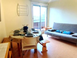 2 Pièces, skis aux pieds, proche commerces avec balcon. Capacité 6 pers, animaux non admis - FR-1-771-11 - Les Adrets - 0