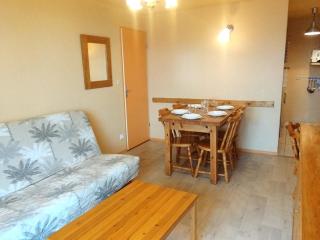 Appart 2 chambres au pied des pistes, balcon et ascenseur - FR-1-771-58 - 3