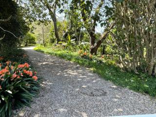 Pa Road B&B Kerikeri NZ - 8