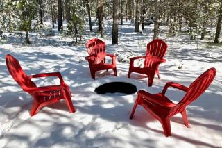 Brand NEW Cabin in the pines - Rea - 2