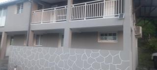 Abricotier à proximité des plages du sud - 5