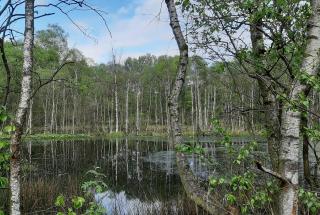 Atelierhaus Tannenweg - 1