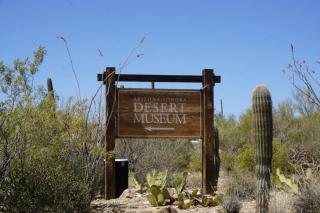 Central location 3-BR Apartment near Banner & UofA - Tucson - 1