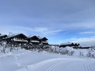 Modern townhouse with panorama view ! - 0