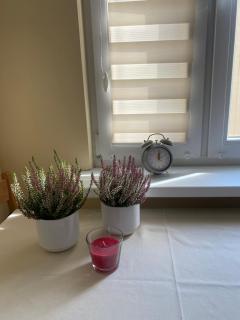 Apartament Orzeł Kołobrzeg - Colberga - 2