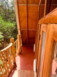 Angry Birds Tree house - Habarana - 7