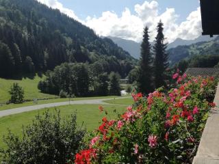 Zudrellhus - Silbertal - 7