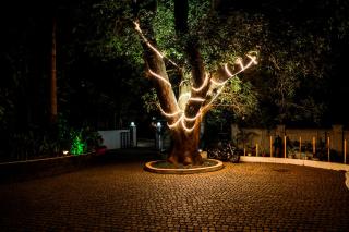 Old Lighthouse Bristow Hotel , Fort Kochi - Cochin - 2