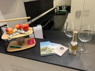 KOSI Thermen-Vulkanland Appartement - Fürstenfeld - 5