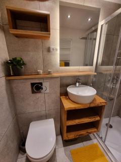 Apartment HANI - Kranjska Gora - 1