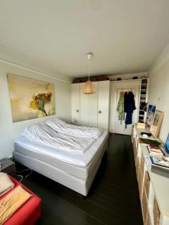 Stylish 1BR Apartment in Central Oslo - 5