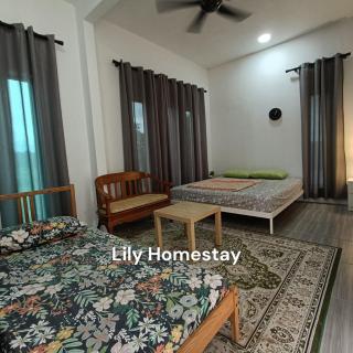 Lily's Guesthouse Kuantan City - 8