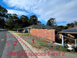 Cozy holiday plant flat ,close to CBD and Beach - Kingston - 7