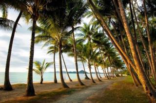 Palm Cove Studio Apartments - Palm Cove - 5
