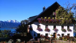 Biobauernhof Lublasser "Dickerl" - Steinbach am Attersee - 0