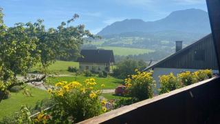 Biobauernhof Lublasser "Dickerl" - Steinbach am Attersee - 7