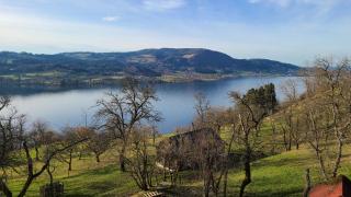 Biobauernhof Lublasser "Dickerl" - Steinbach am Attersee - 4