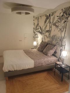 CANNES CALIFORNIE, WINTER PALACE, à 2 pas de la rue d'Antibes et des plages de la Croisette - 3