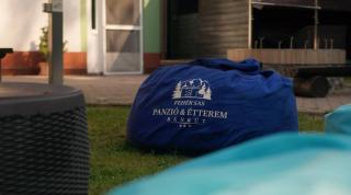 Fehér Sas Panzió - 1