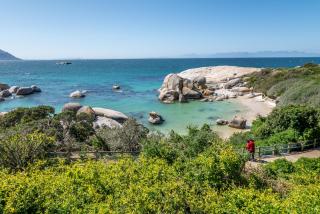 The Boulders House - Cape Town - 8