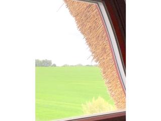 Vacation home "Mee H Rhuus" - 1