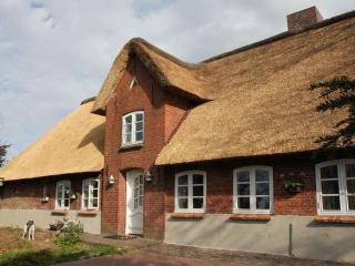 Apartment in Ganzlin - 9