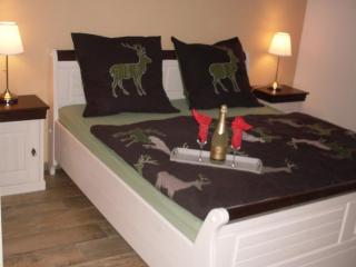 House little Maddi Comfortable Vacation Home - 4