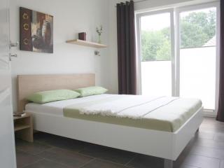 Luxury holiday house "Schleibrise" - 6